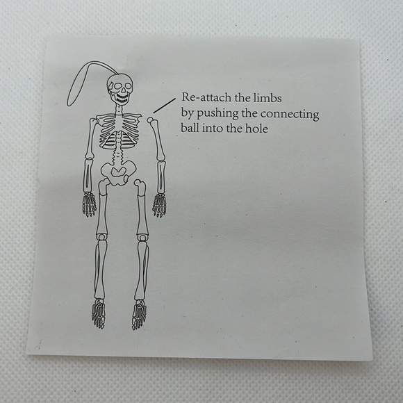 Skeleton and Story Book, like Elf on a Shelf - Picture 13 of 16